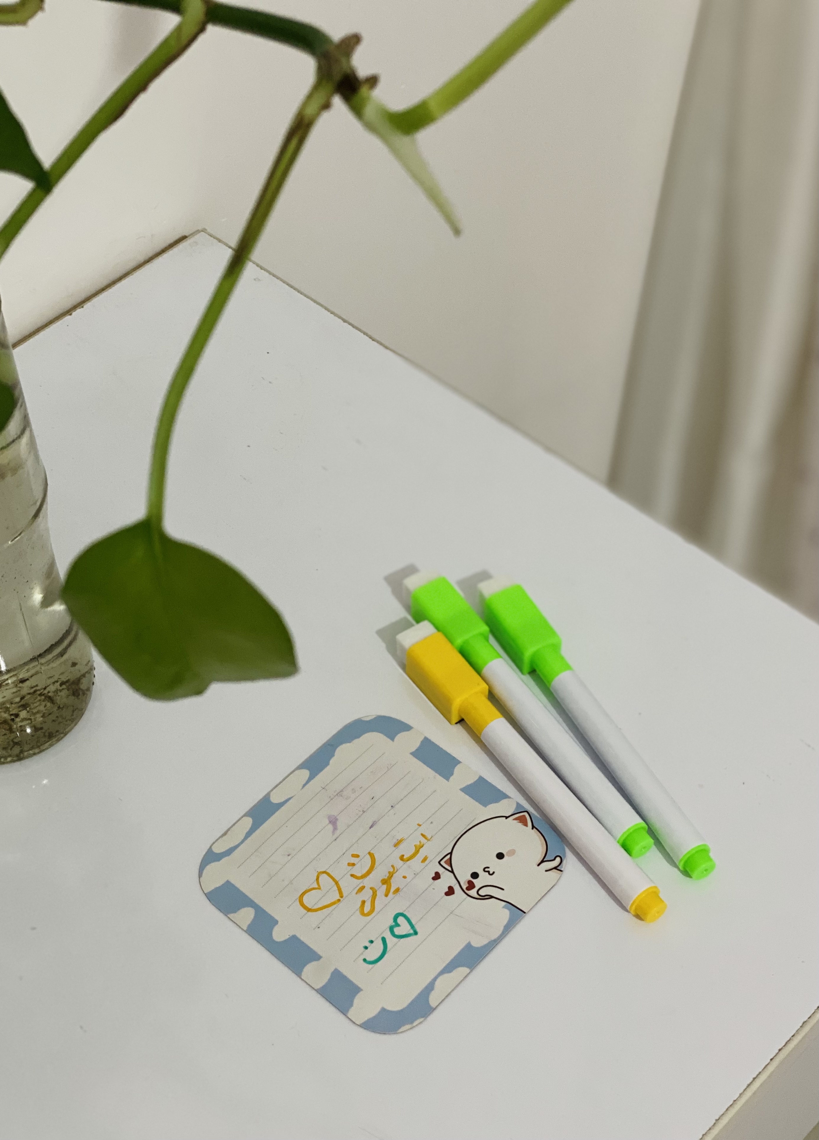 ماژیک مگنتی سر پاکن دار